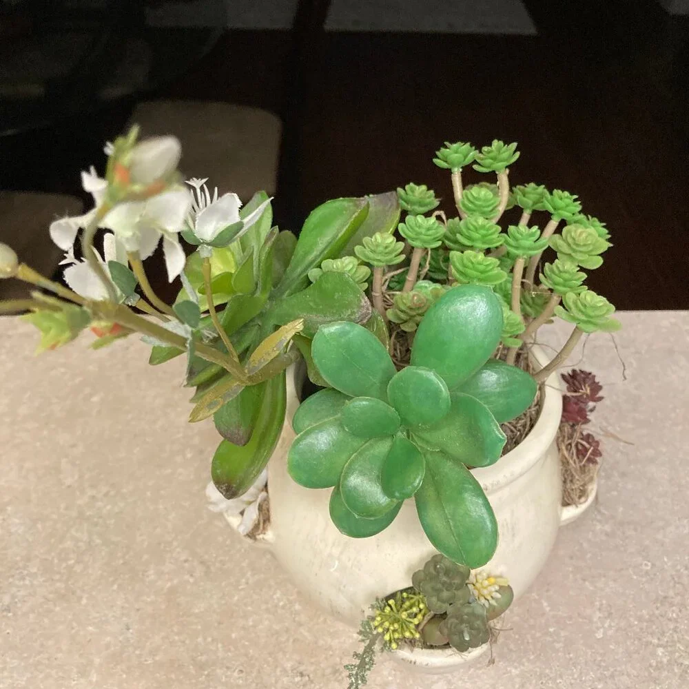 Cream Ceramic Pot wit Artificial Succulent Plants